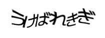 認証画像
