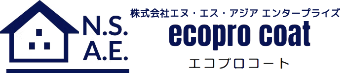 logo_nsae_epc.png
